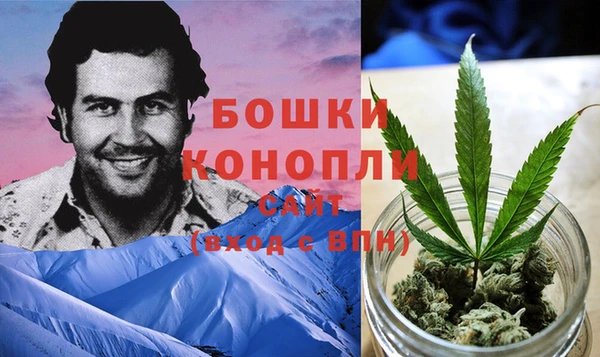 мяу мяу мука Няндома