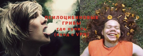 MESCALINE Нязепетровск
