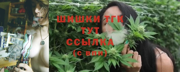 шишки Вязьма