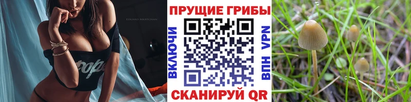 Псилоцибиновые грибы ЛСД  купить закладку  МЕГА рабочий сайт  Кимры 