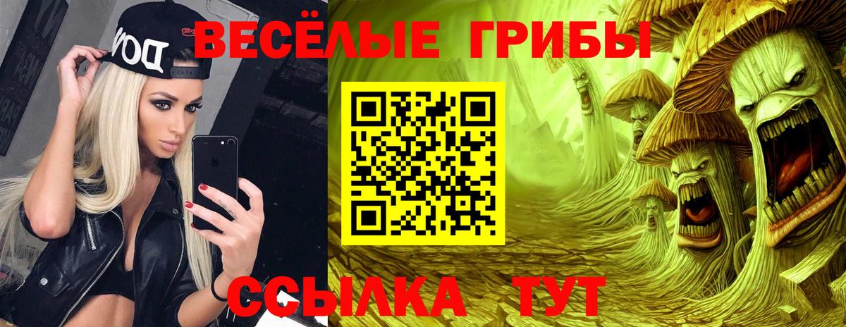 Псилоцибиновые грибы Psilocybine cubensis Кимры