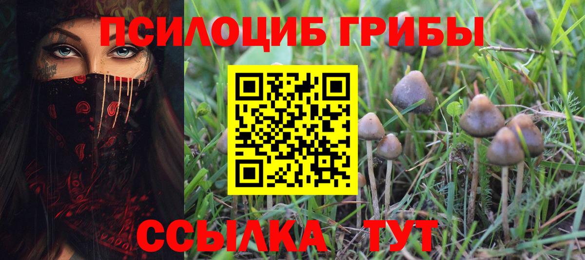 Псилоцибиновые грибы MAGIC MUSHROOMS  Галлюциногенные грибы прущие грибы  Кимры 